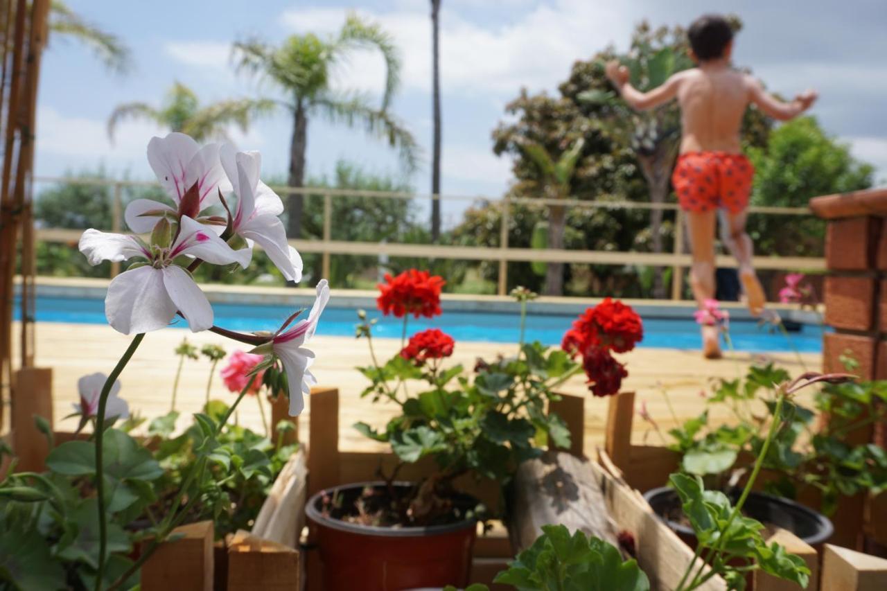 Villa Carolea อาชิเรอาเล ภายนอก รูปภาพ