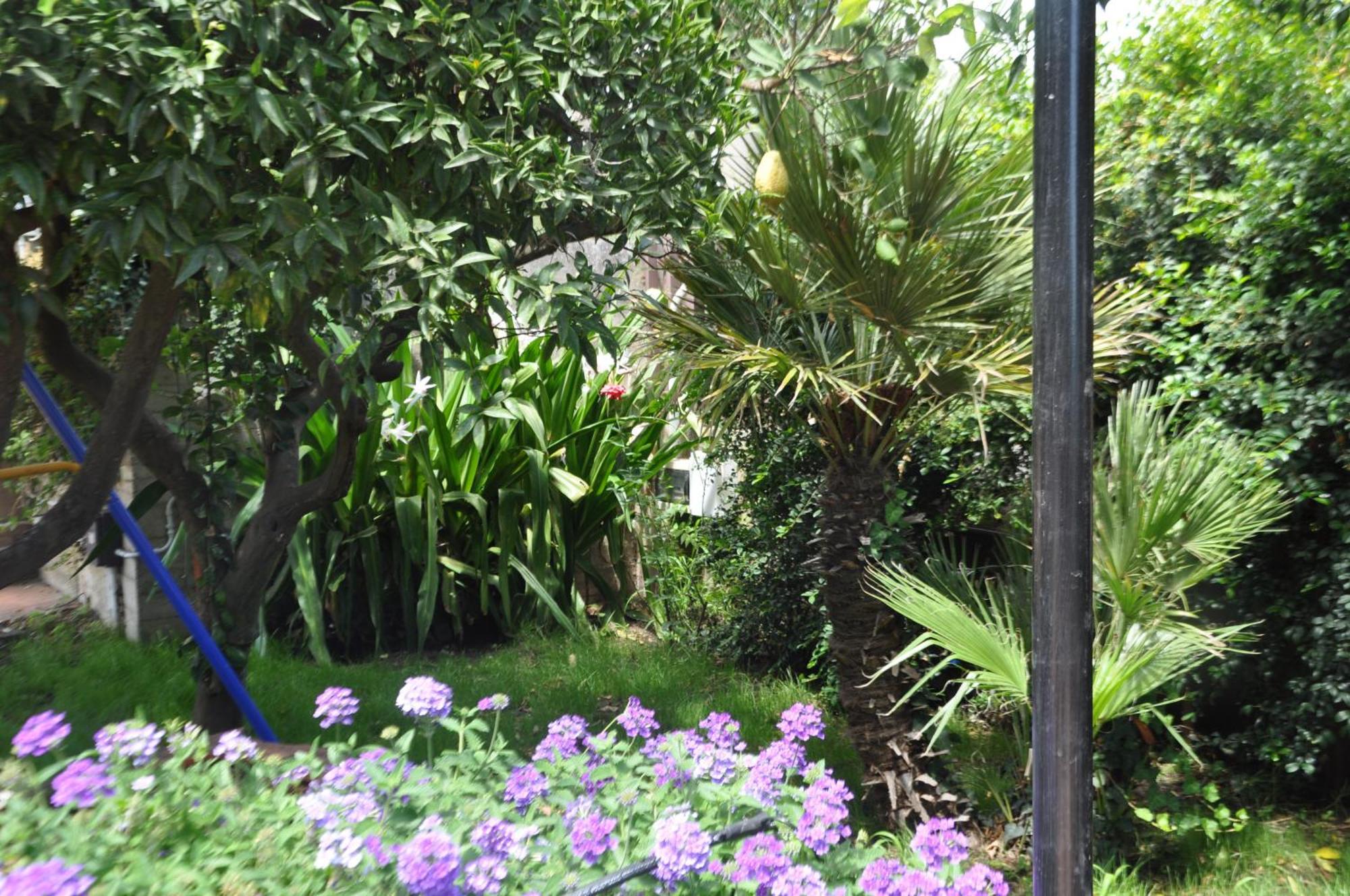Villa Carolea อาชิเรอาเล ภายนอก รูปภาพ